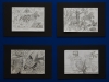 50_Jahr_Feier_ARS_0056